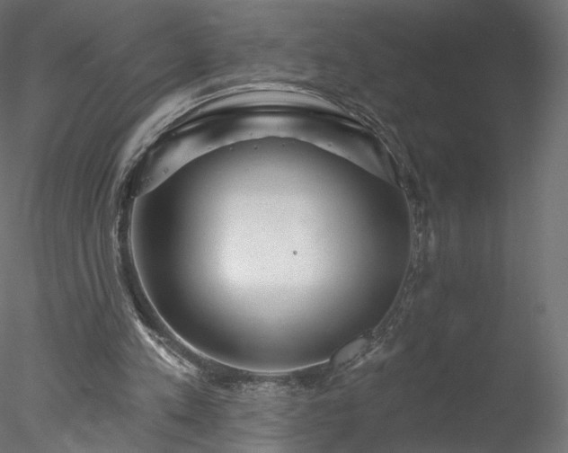 X0000078010197200611031439