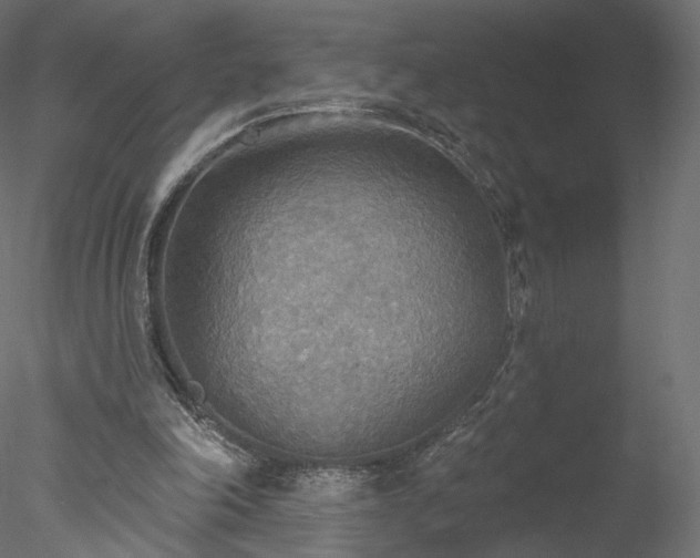 X0000078010198200611031439