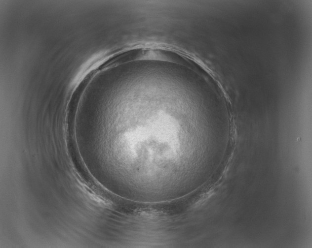 X0000078010199200611031439