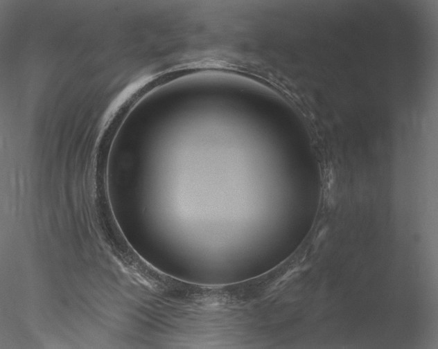 X0000078010200200611031439