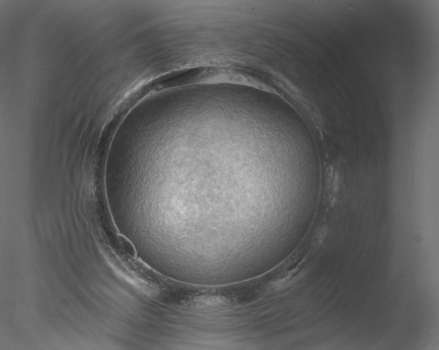 X0000078010203200611031439