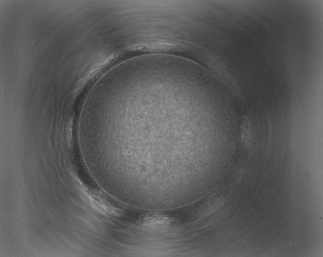 X0000078010206200611031439