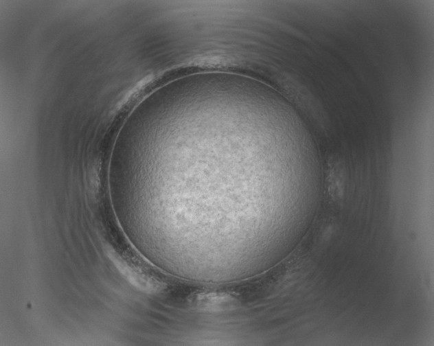 X0000078010208200611031439