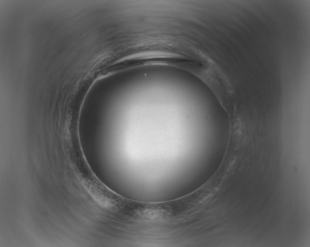 X0000078010209200611031439