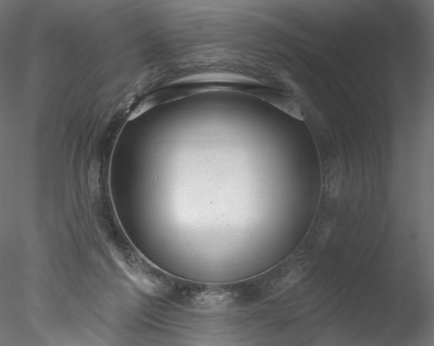 X0000078010213200611031439