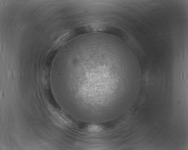 X0000078010218200611031438