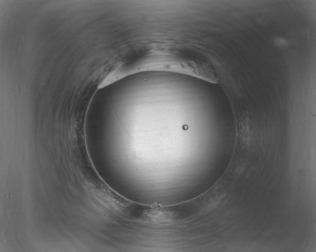 X0000078010221200611031438