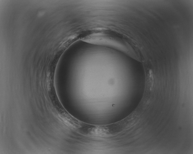 X0000078010223200611031438