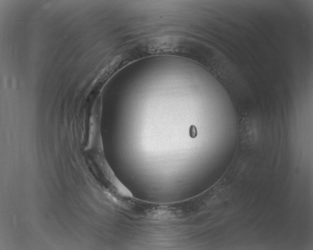 X0000078010224200611031438