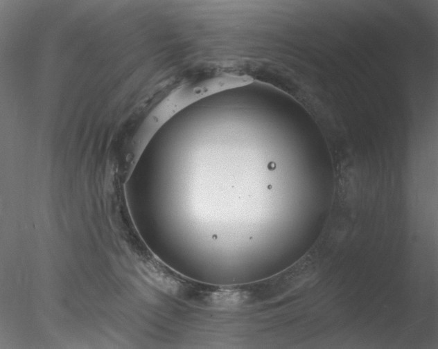 X0000078010225200611031438