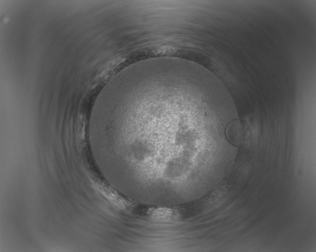 X0000078010230200611031438