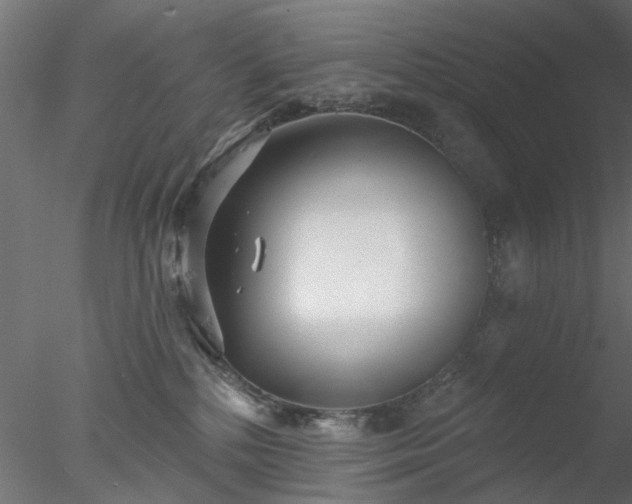 X0000078010232200611031438