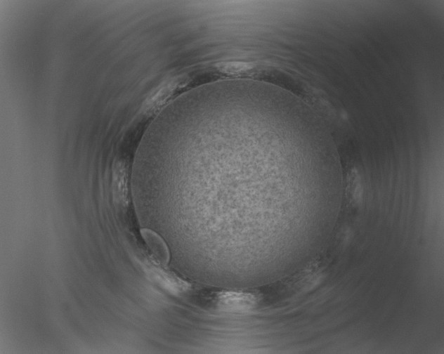 X0000078010234200611031438