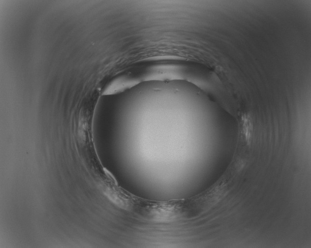 X0000078010235200611031438