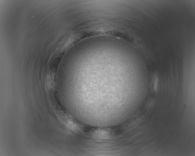 X0000078010236200611031438