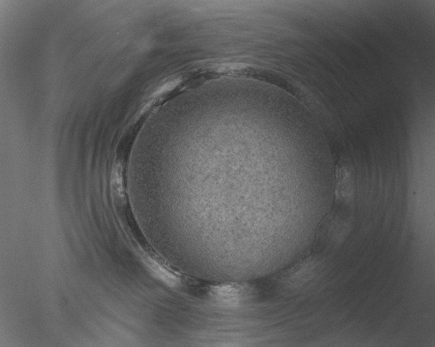 X0000078010238200611031438