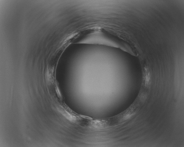 X0000078010239200611031438