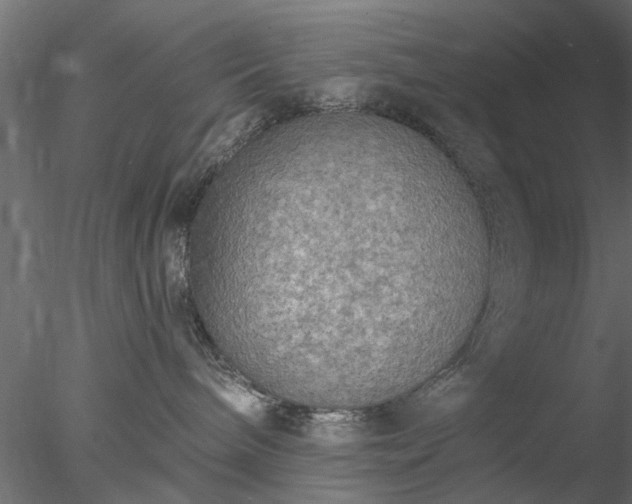 X0000078010240200611031438