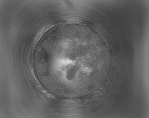 X0000078010241200611031437