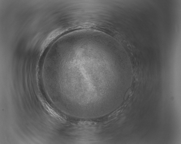 X0000078010242200611031437