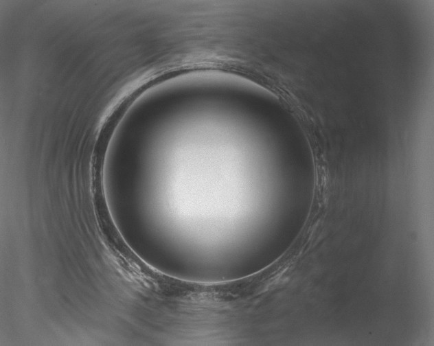 X0000078010244200611031437