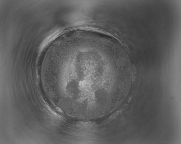 X0000078010245200611031437