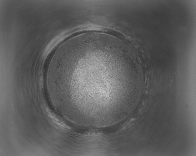 X0000078010247200611031437