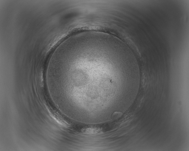 X0000078010251200611031437