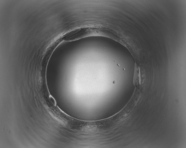 X0000078010252200611031437