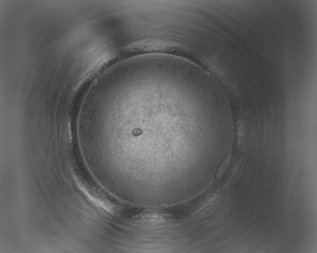 X0000078010254200611031438