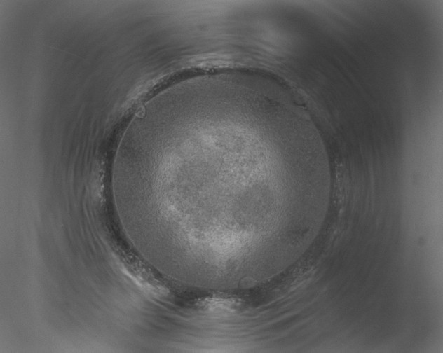 X0000078010255200611031438