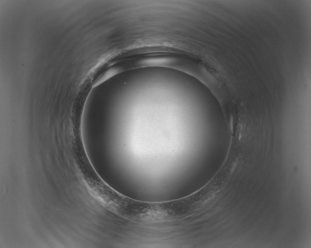 X0000078010256200611031438