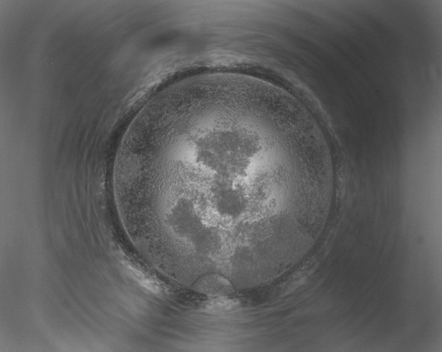 X0000078010257200611031438