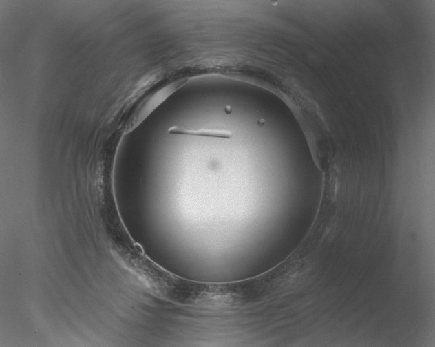 X0000078010260200611031438