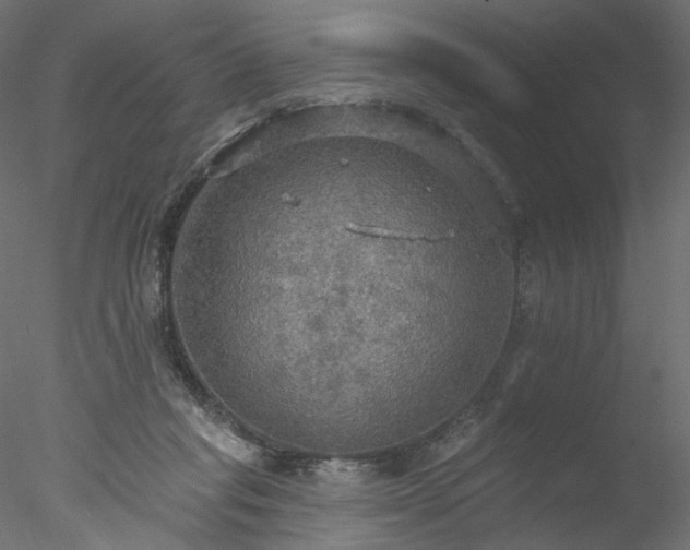 X0000078010261200611031438