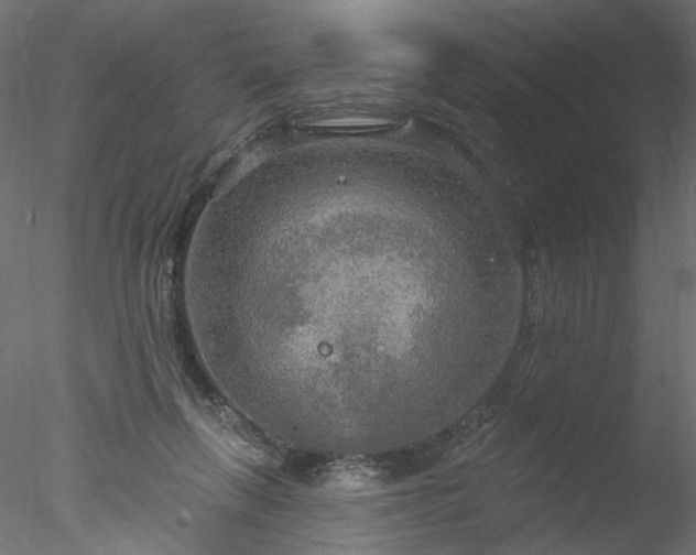 X0000078010263200611031438