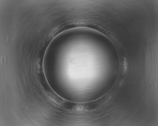 X0000078010264200611031438