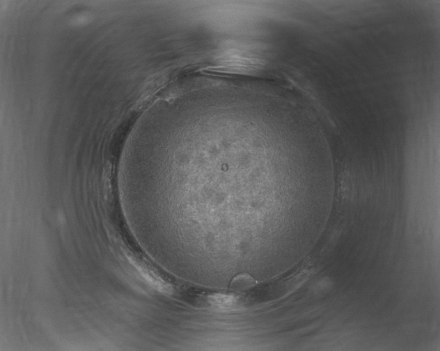 X0000078010265200611031438