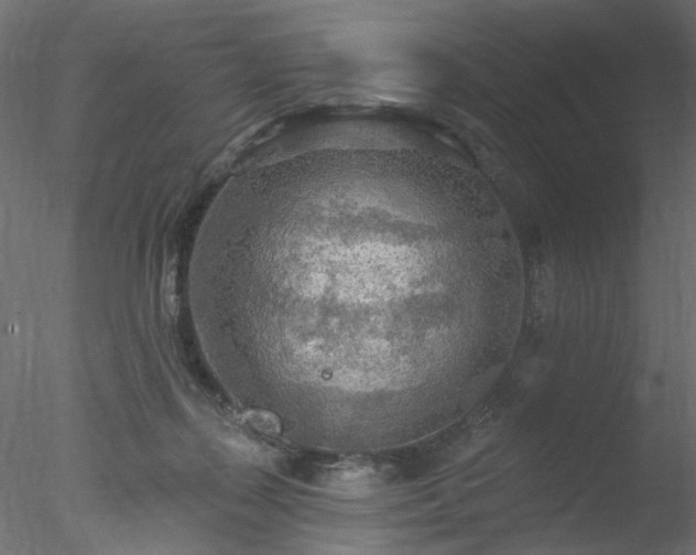 X0000078010267200611031438