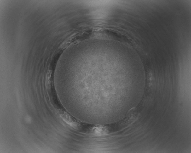 X0000078010275200611031438