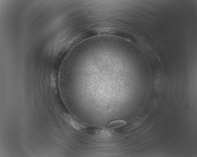 X0000078010282200611031438