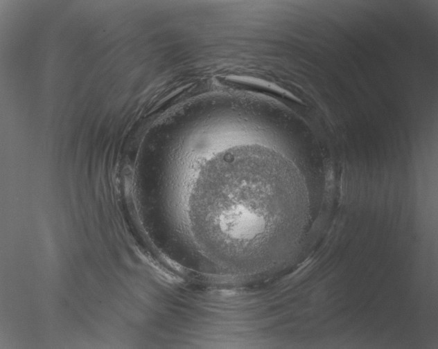 X0000078010285200611031438