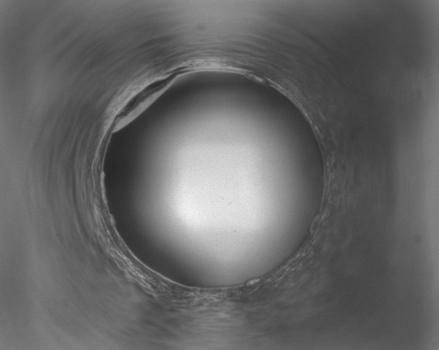 X0000078010289200611031437