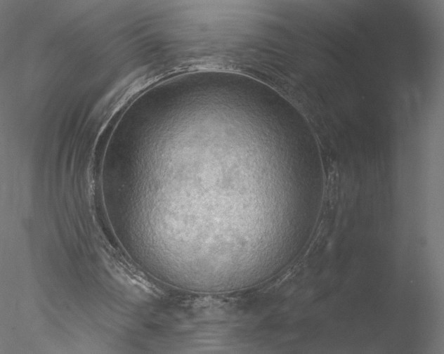 X0000078010290200611031437