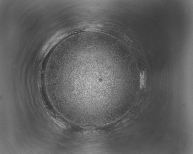 X0000078010291200611031437