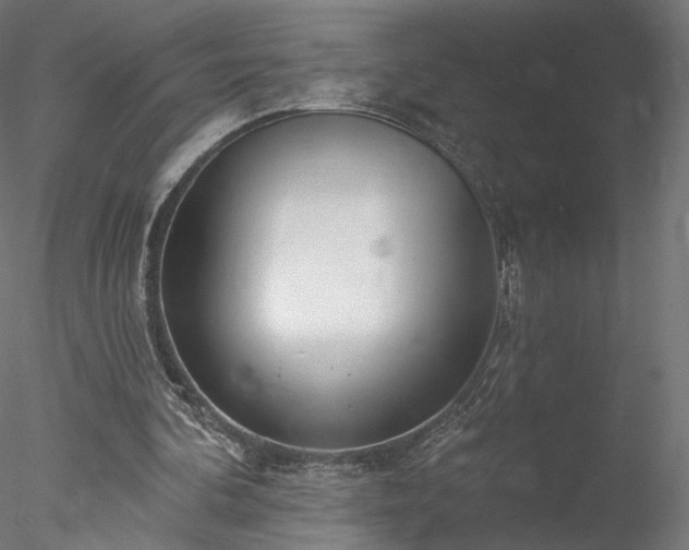 X0000078010292200611031437