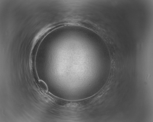 X0000078010294200611031437