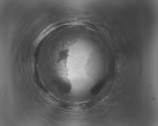 X0000078010295200611031437