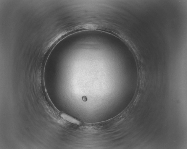 X0000078010297200611031437