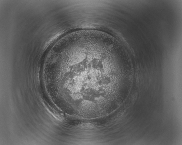 X0000078010299200611031437